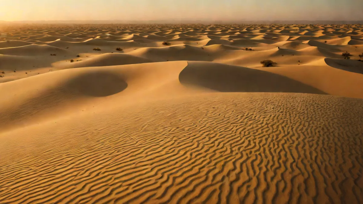 Desert at dawn, textured dunes, soft light, vast emptiness